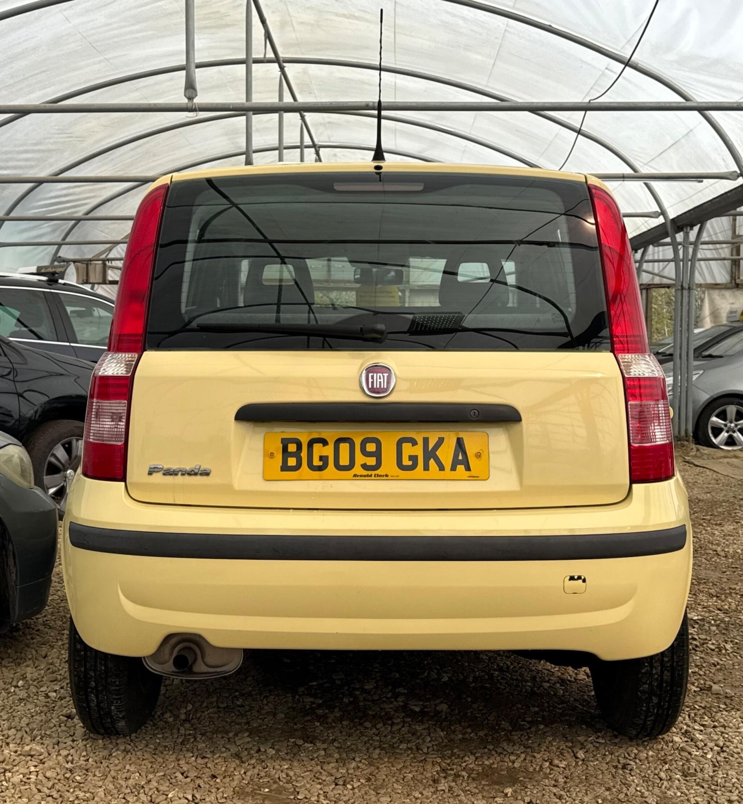 Used Fiat Panda for sale - 78128024: Photo 6