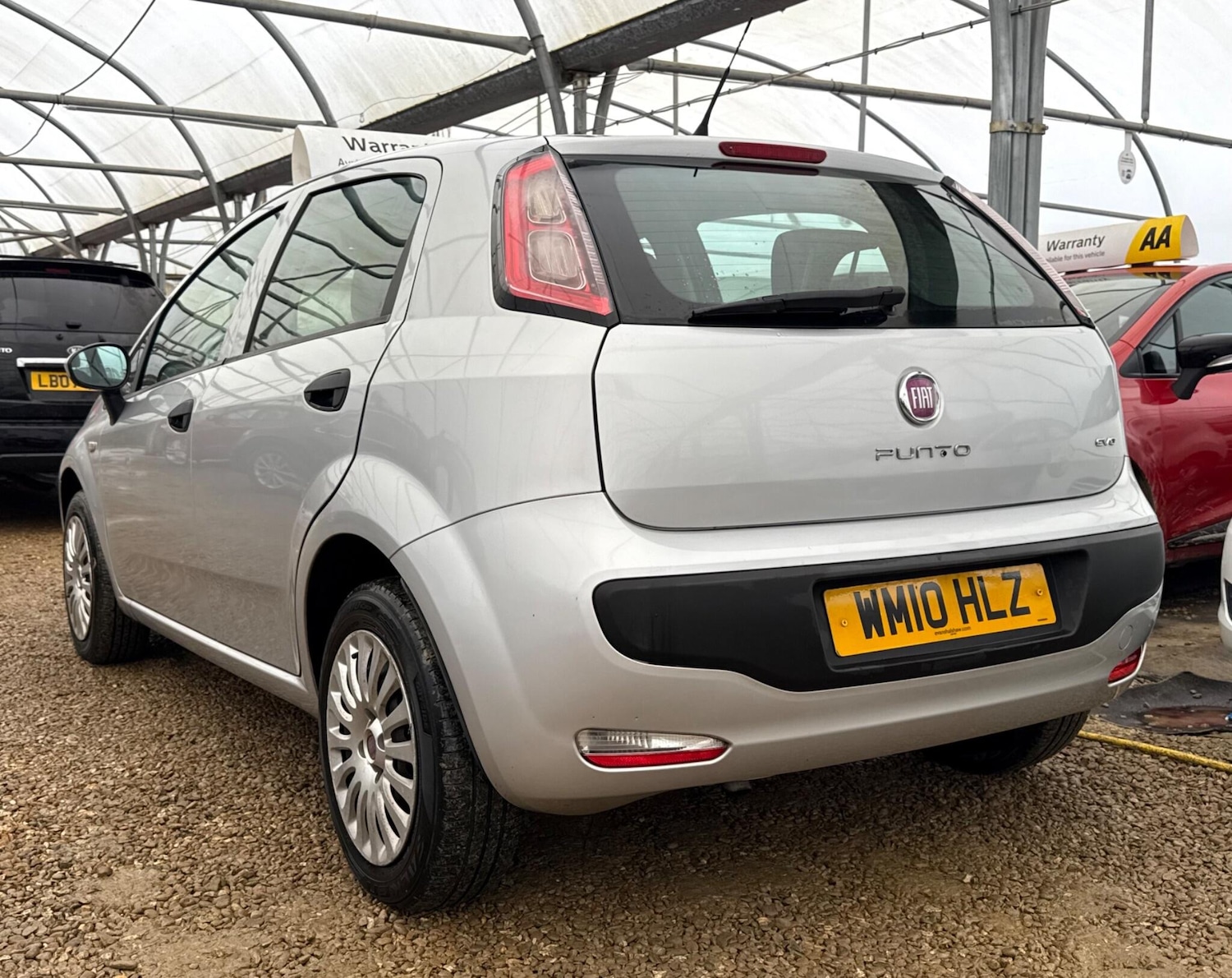 Used Fiat Punto Evo 2010 for sale - 77538243: Photo 2