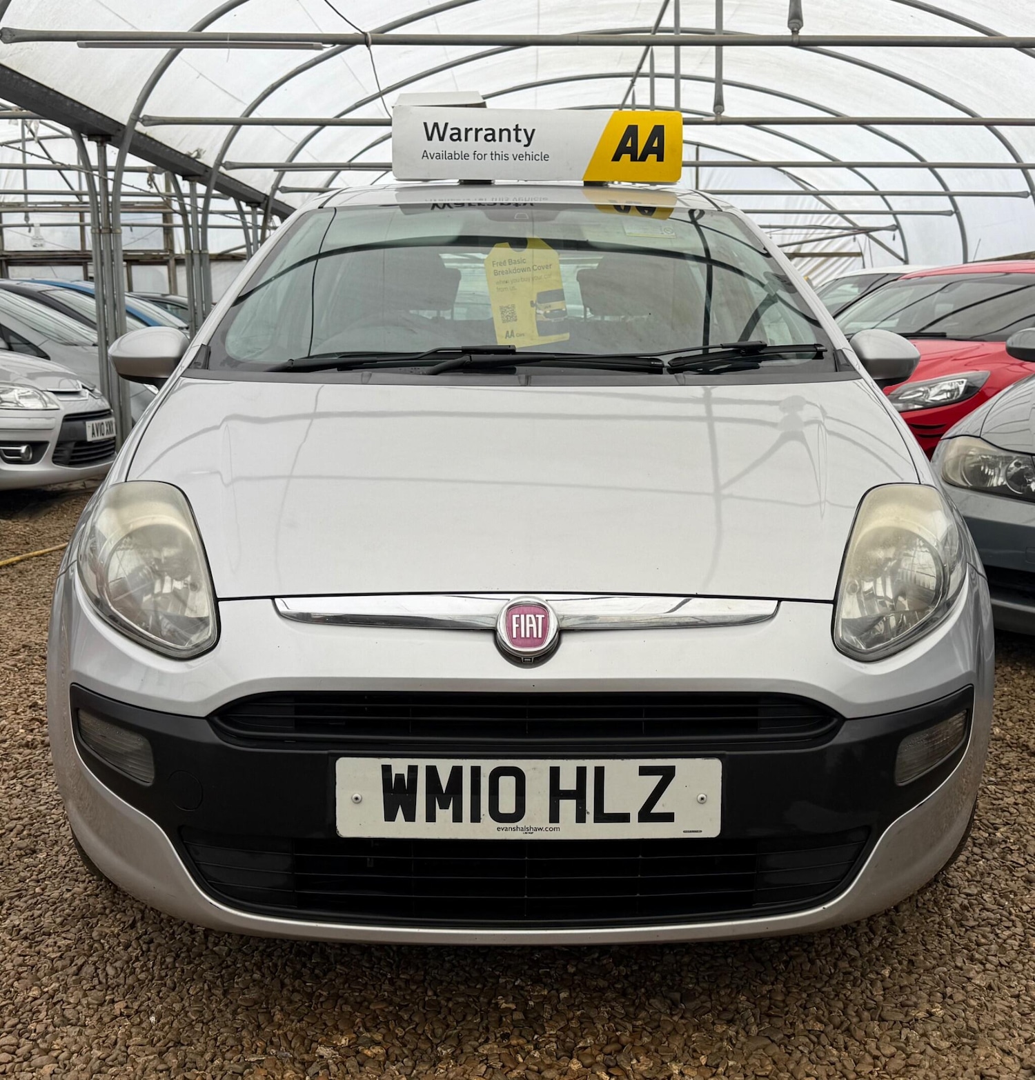 Used Fiat Punto Evo 2010 for sale - 77538243: Photo 4