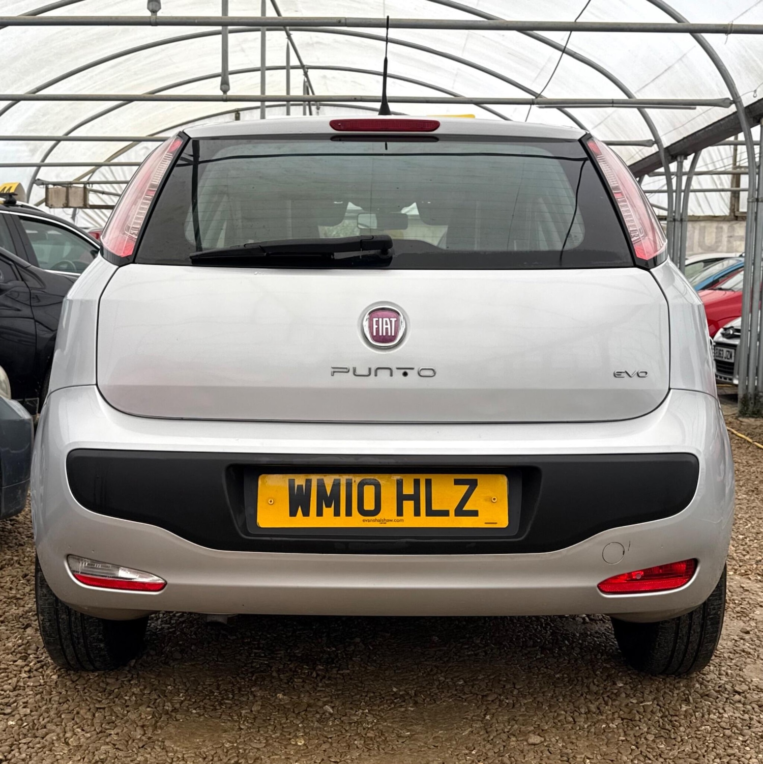 Used Fiat Punto Evo 2010 for sale - 77538243: Photo 6