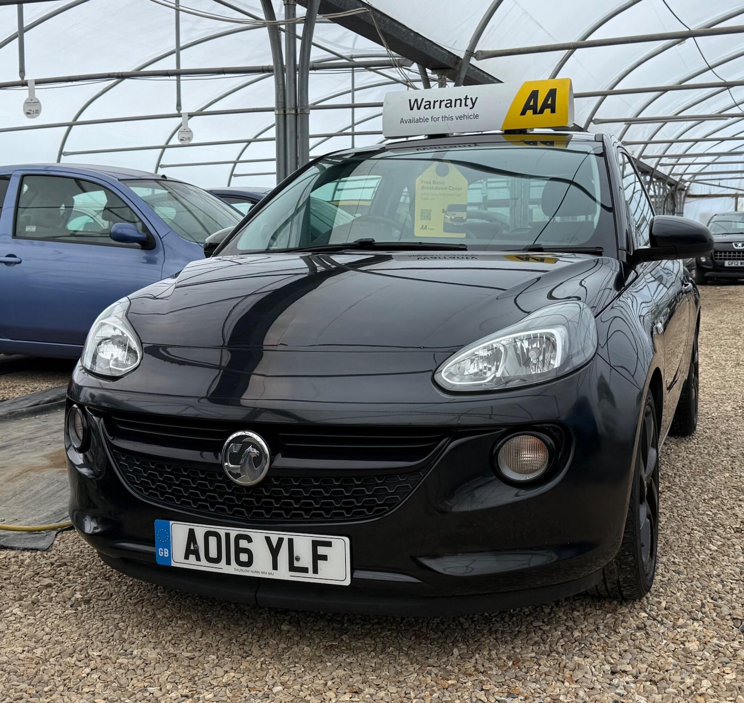 Vehicle 43