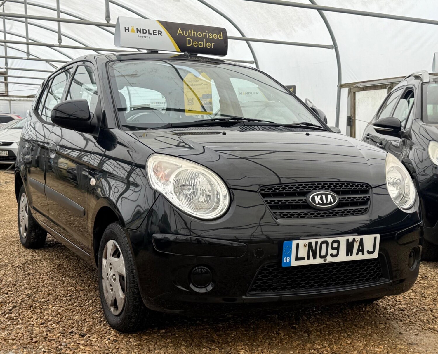 Used Kia Picanto for sale - 78128213: Photo 31