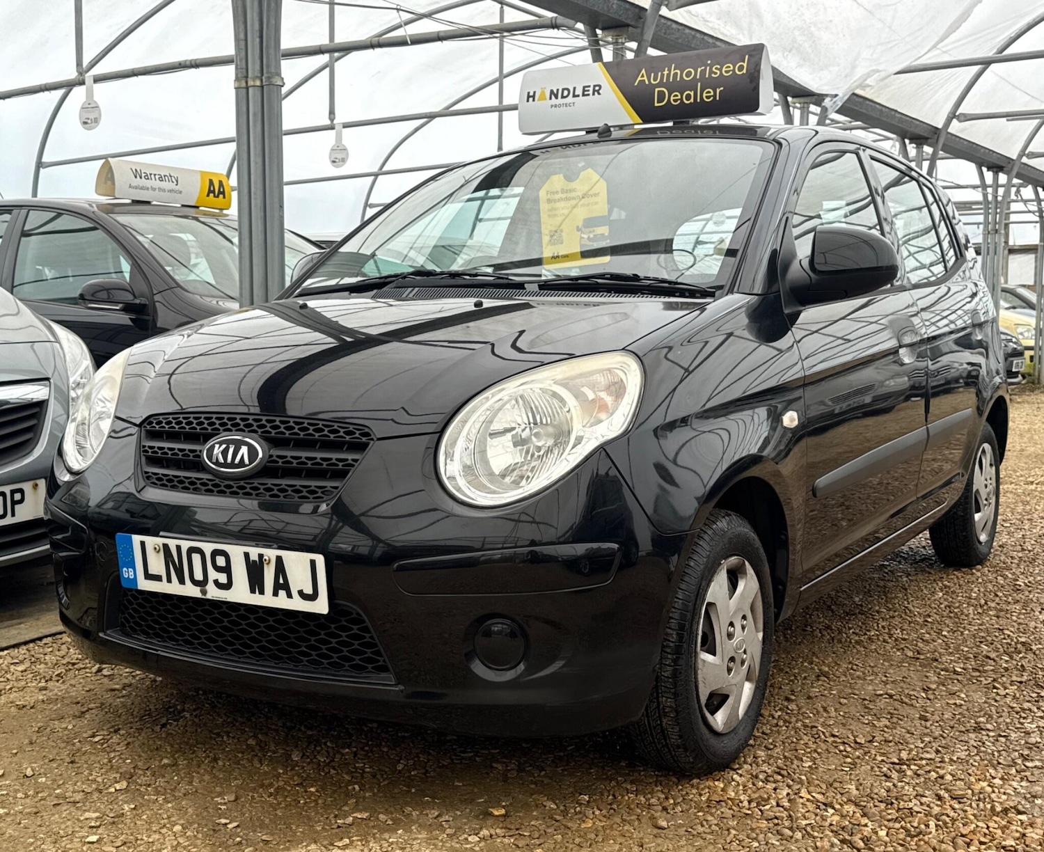Used Kia Picanto for sale - 78128213: Photo 41