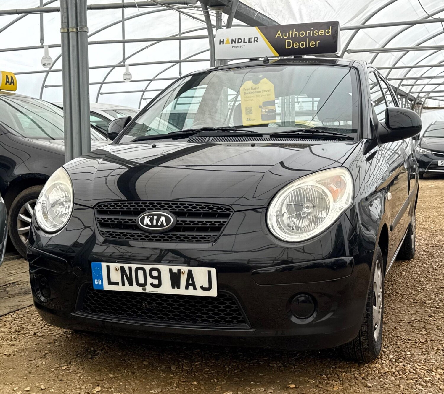 Used Kia Picanto for sale - 78128213: Photo 42