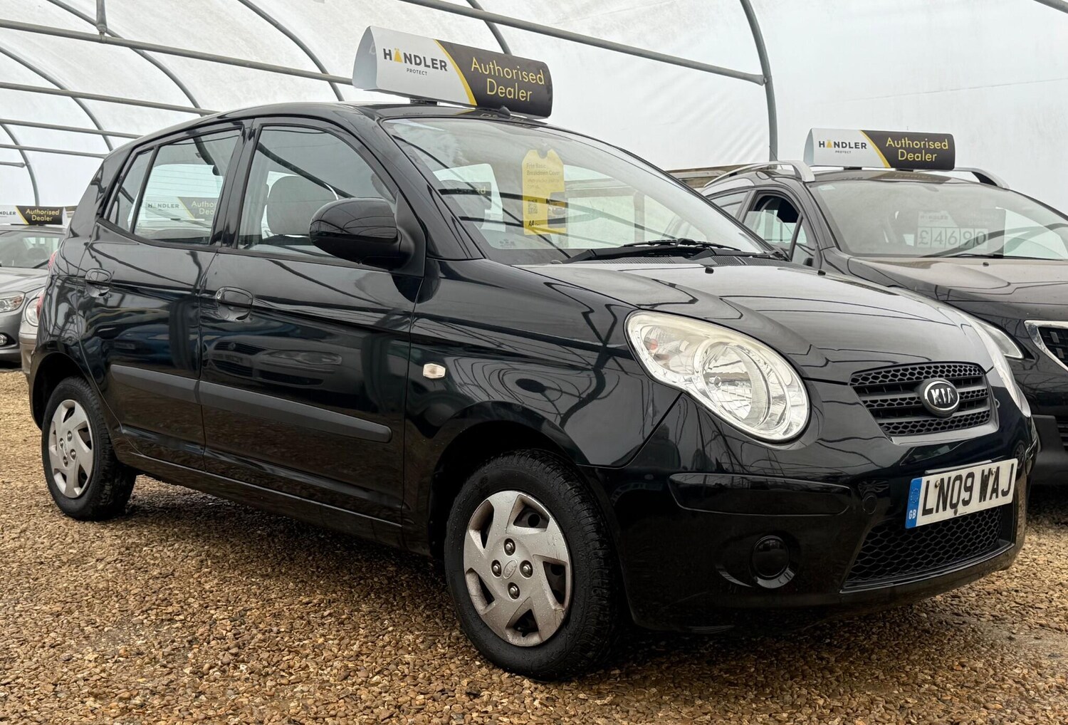 Used Kia Picanto for sale - 78128213: Photo 8