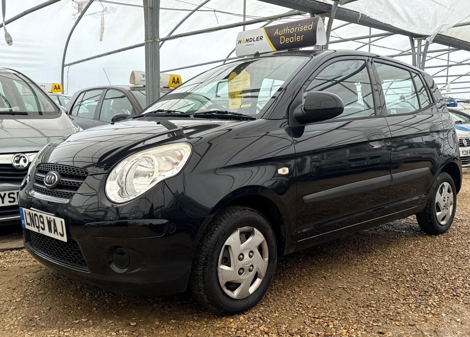 Used Kia Picanto for sale - 78128213: Photo 9