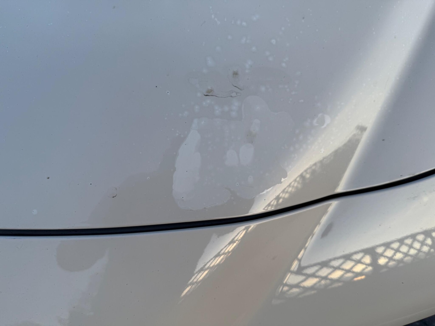 Used Alfa Romeo MiTo 2013 for sale - 77131546: Photo 14