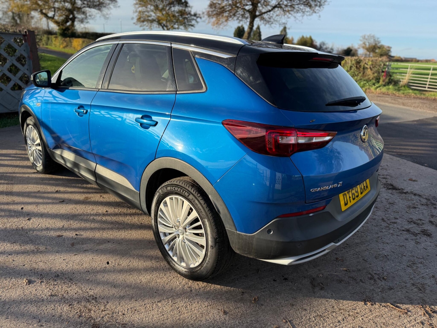 Used Vauxhall Grandland X 2020 for sale - 76572374: Photo 10