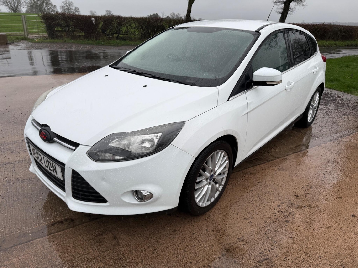 Used Ford Focus 2012 for sale - 77549400: Photo 13