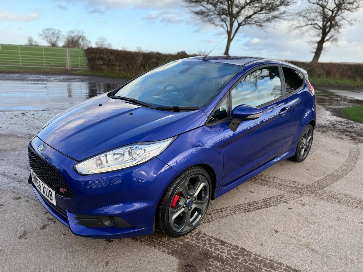 Used Ford Fiesta 2016 for sale - 76899505: Photo 11