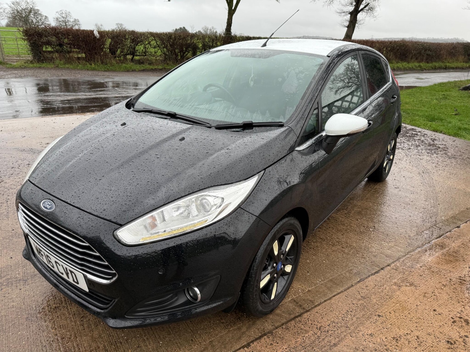 Used Ford Fiesta for sale - 77278833: Photo 13