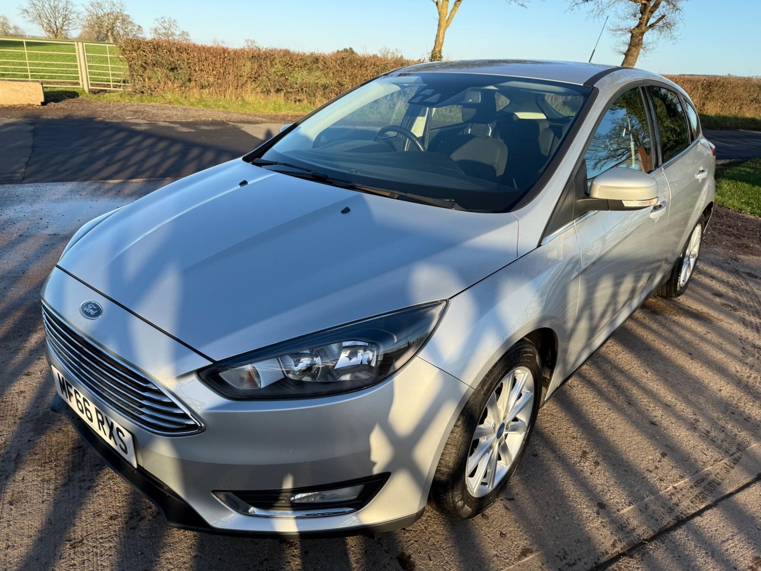 Used Ford Focus 2016 for sale - 77091908: Photo 12