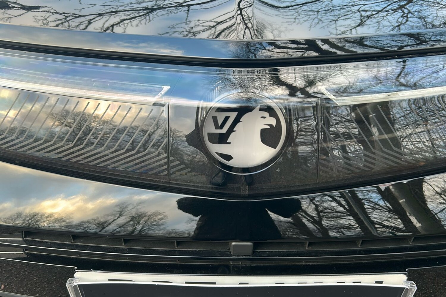 Used Vauxhall Grandland 2025 for sale - 77494558: Photo 23