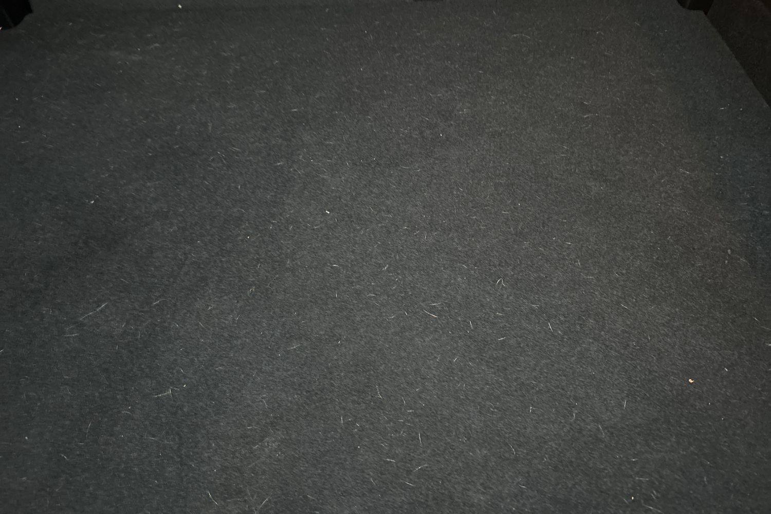 Used MG MG ZS 2023 for sale - 75380754: Photo 39