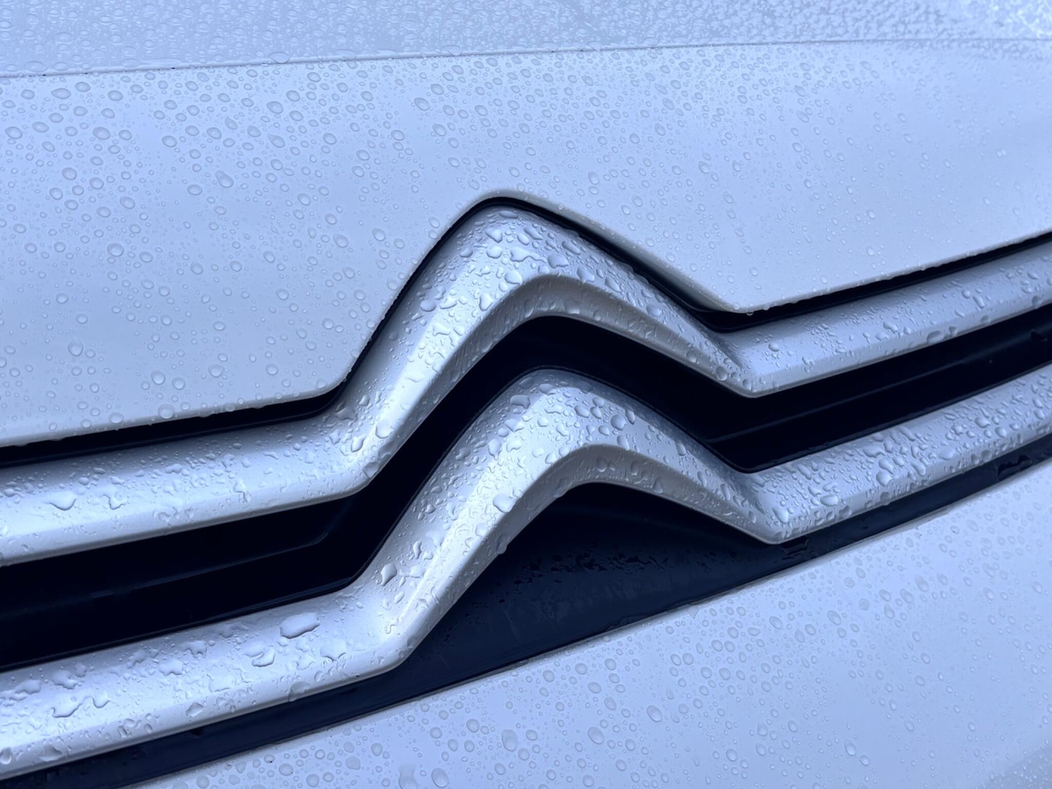 Used Citroen Dispatch 2021 for sale - 77598059: Photo 71