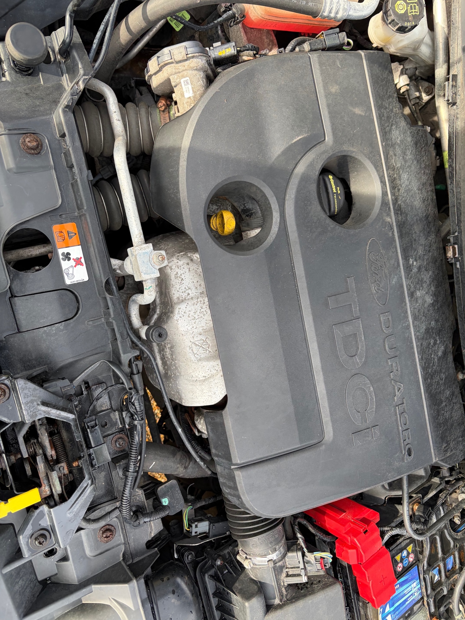 Used Ford Fiesta 2015 for sale - 77357671: Photo 4