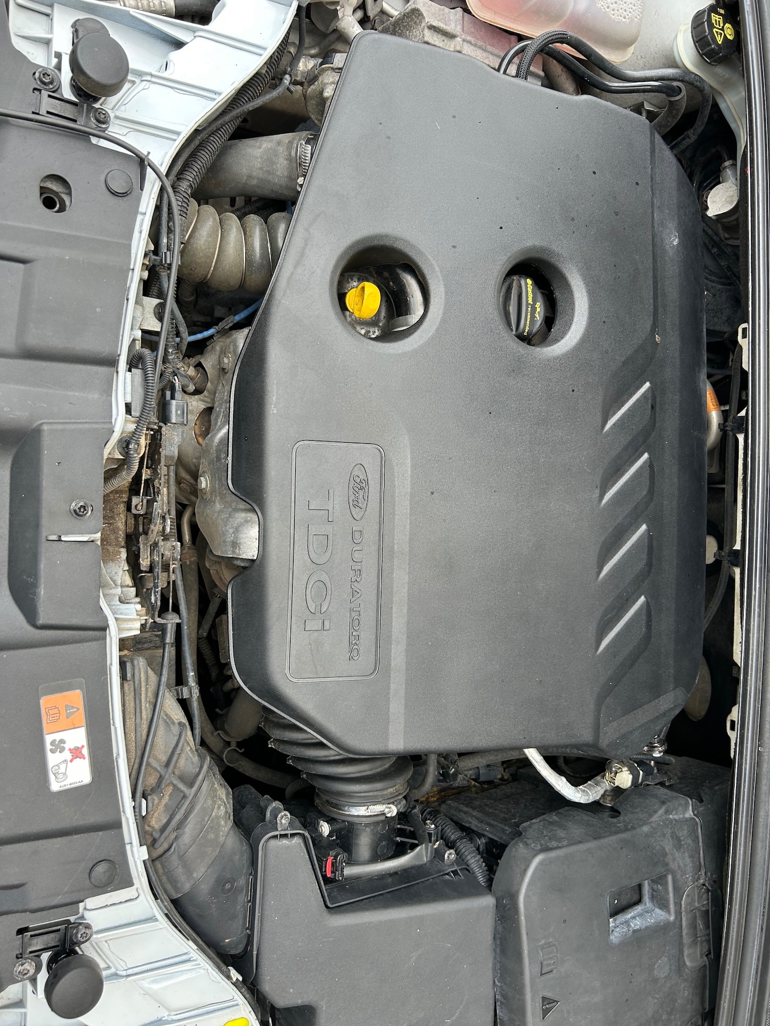 Used Ford Focus 2016 for sale - 76651111: Photo 8