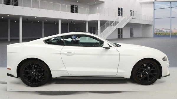Used Ford Mustang 2019 for sale - 76238639: Photo 6