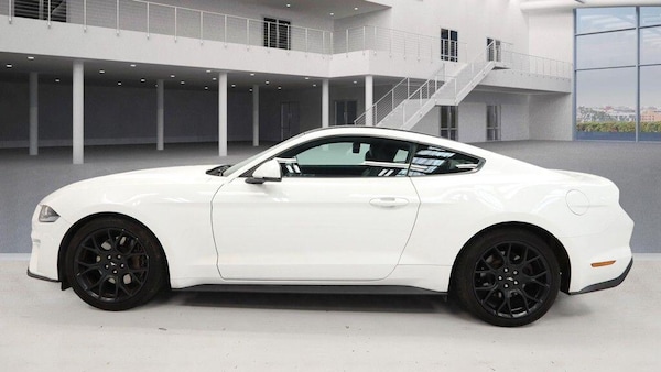 Used Ford Mustang 2019 for sale - 76238639: Photo 7