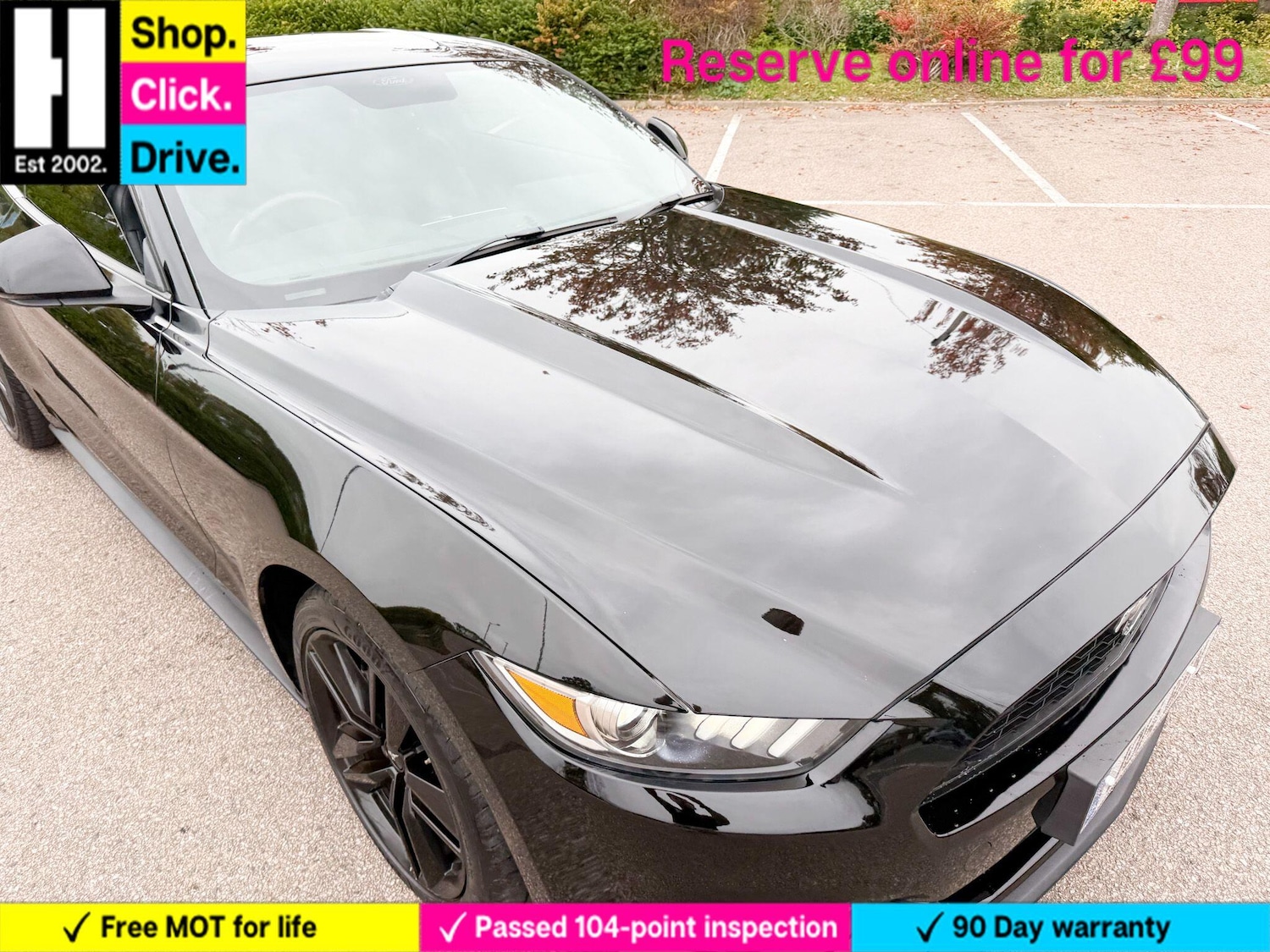 Used Ford Mustang 2016 for sale - 76227671: Photo 11