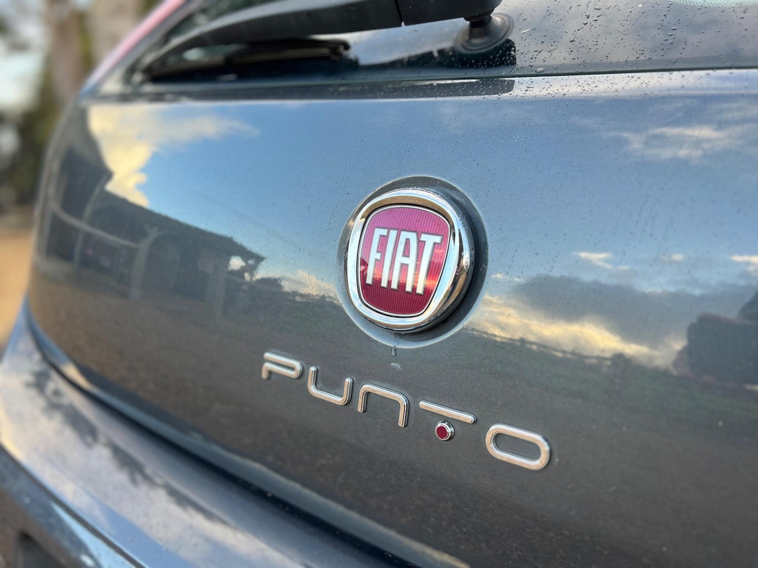 Used Fiat Punto 2013 for sale - 76765985: Photo 11