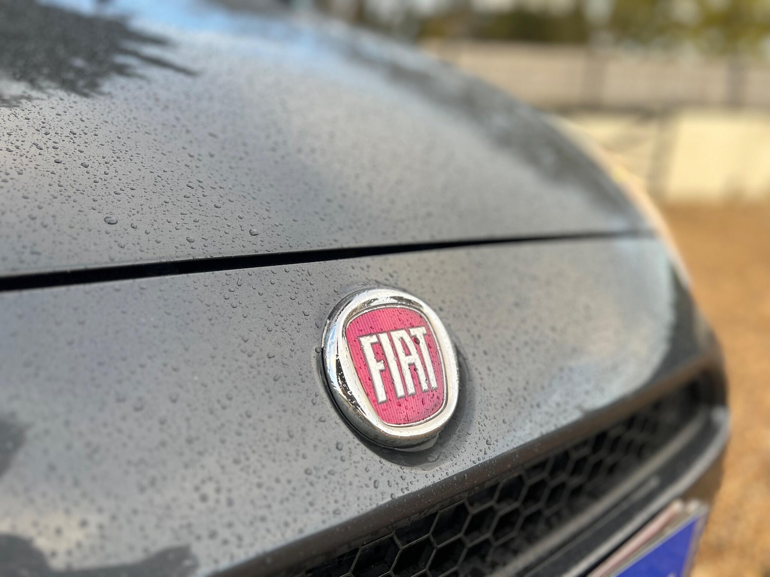 Used Fiat Punto 2013 for sale - 76765985: Photo 12