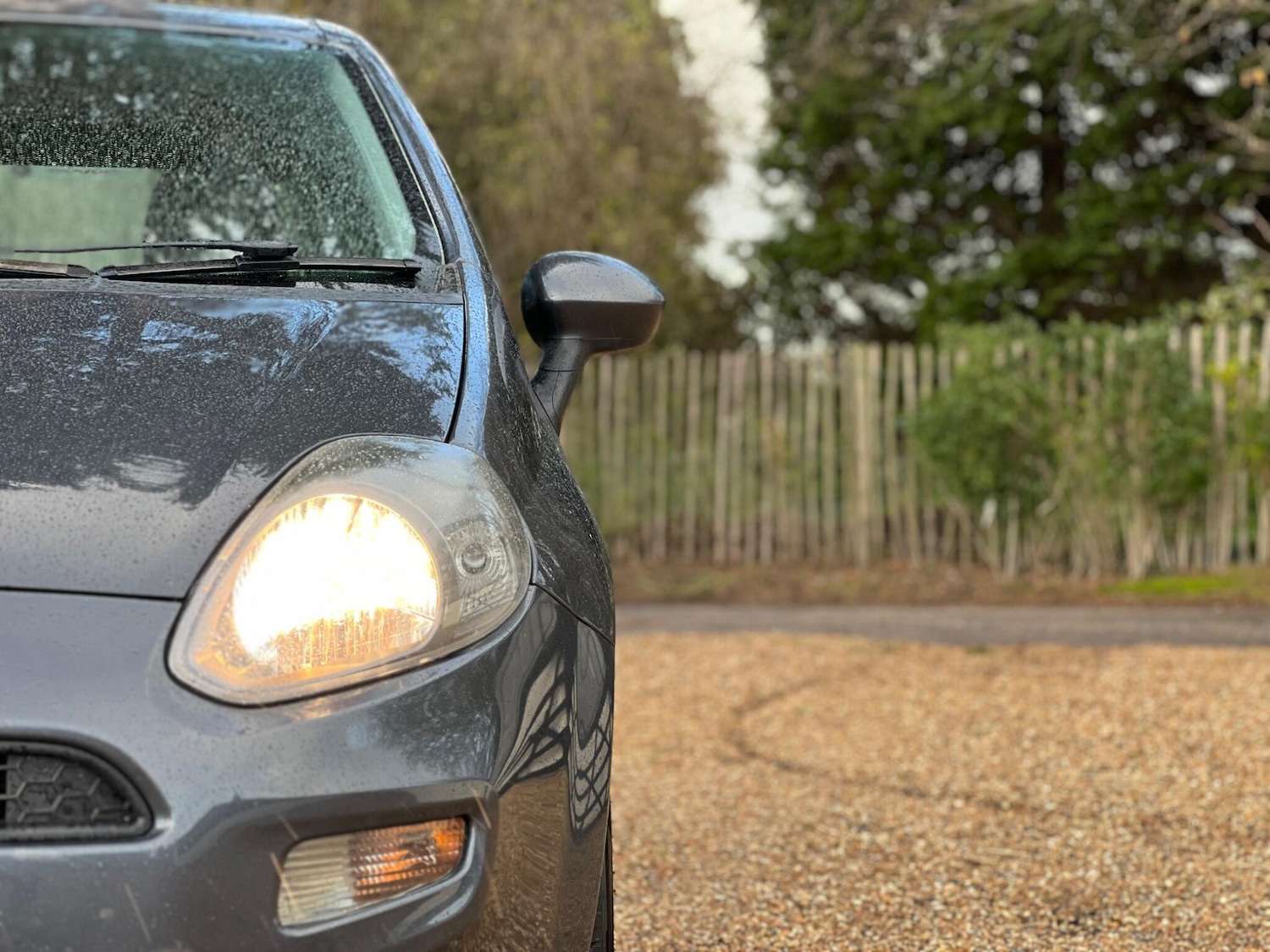 Used Fiat Punto 2013 for sale - 76765985: Photo 17