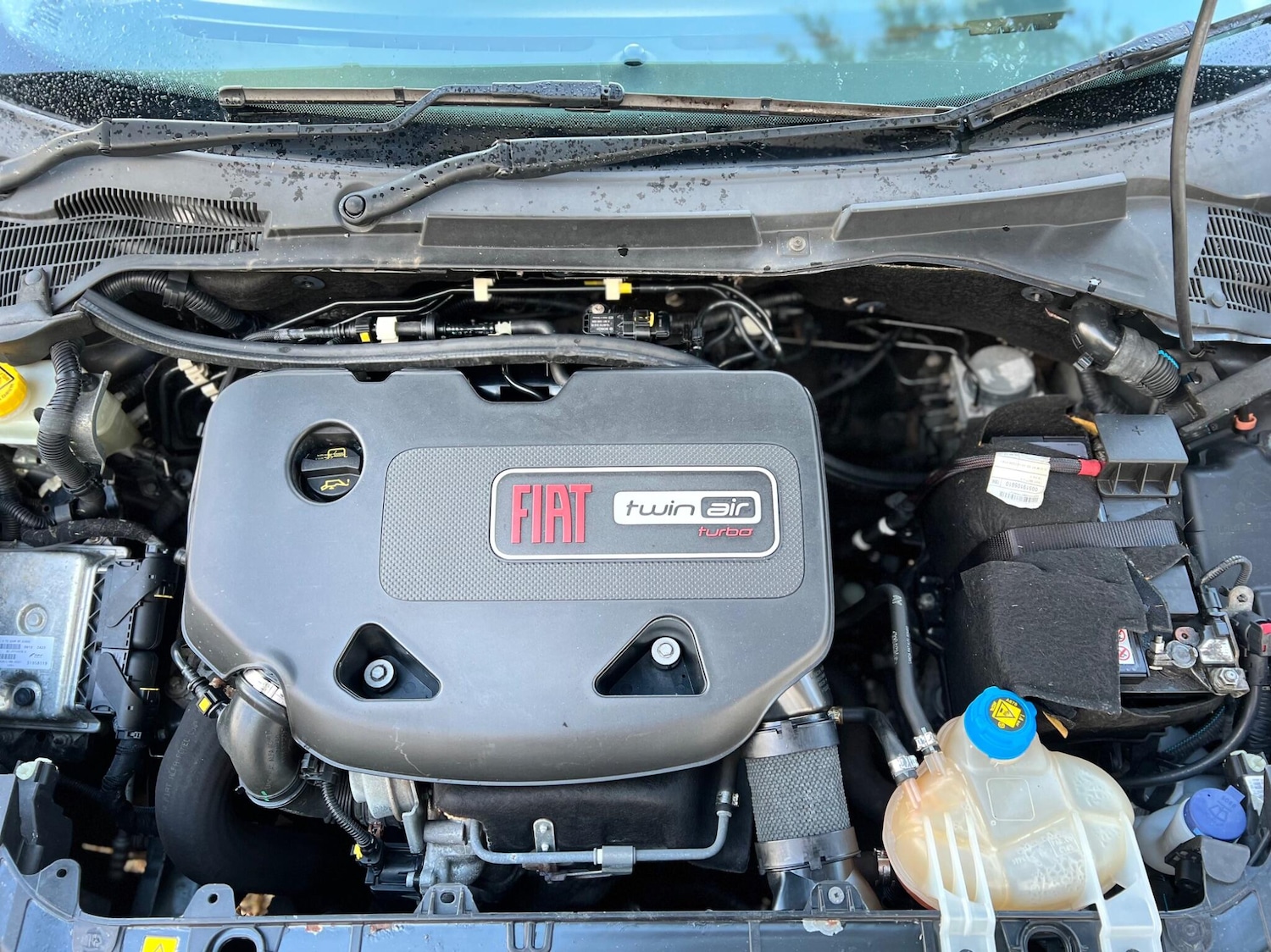 Used Fiat Punto 2013 for sale - 76765985: Photo 33