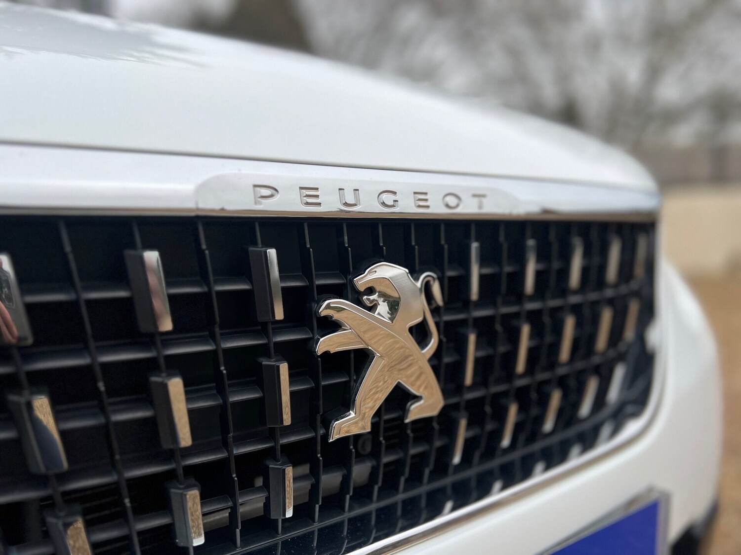 Used Peugeot 2008 2017 for sale - 77555941: Photo 15