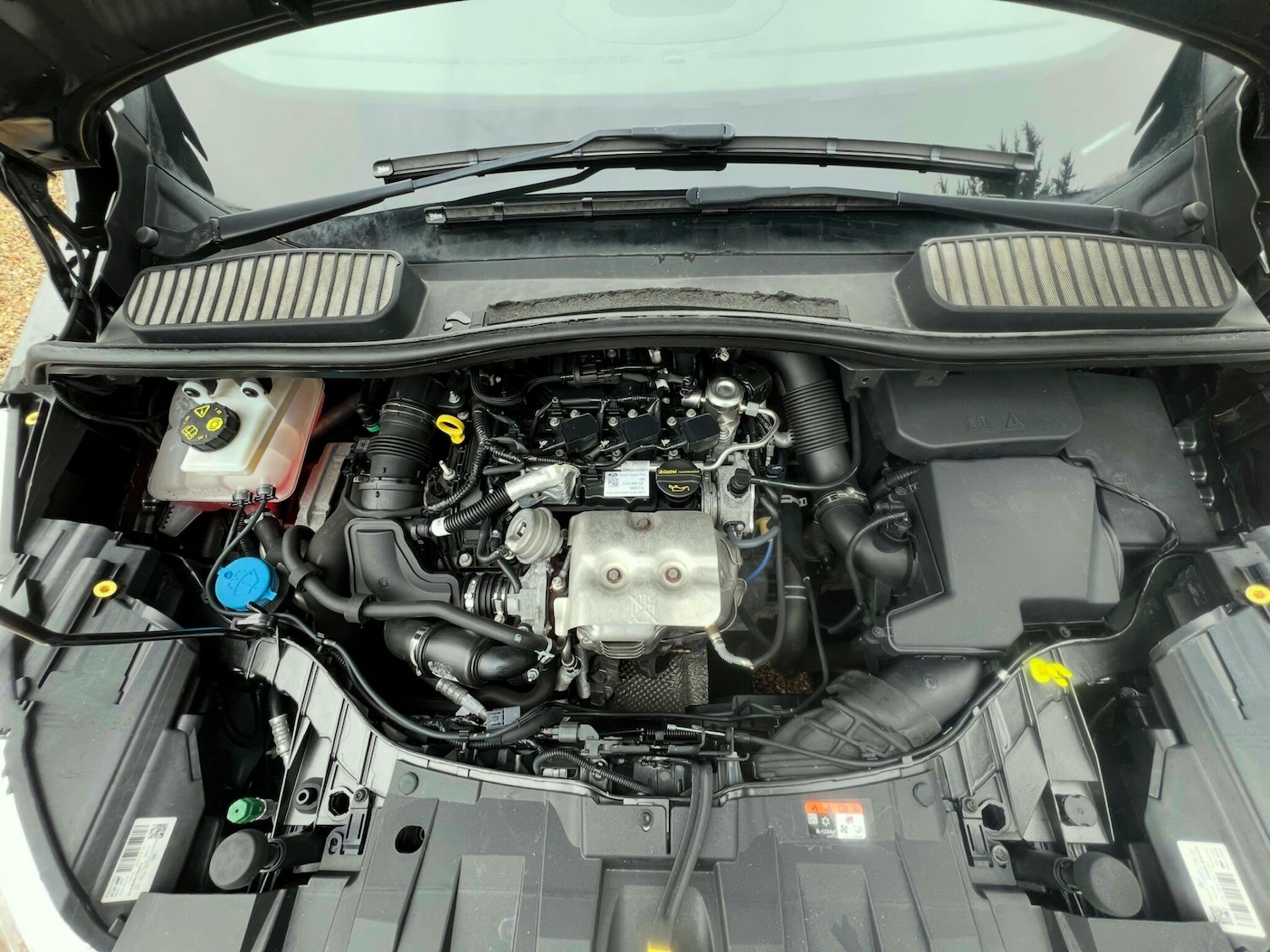 Used Ford C-Max for sale - 77331800: Photo 32