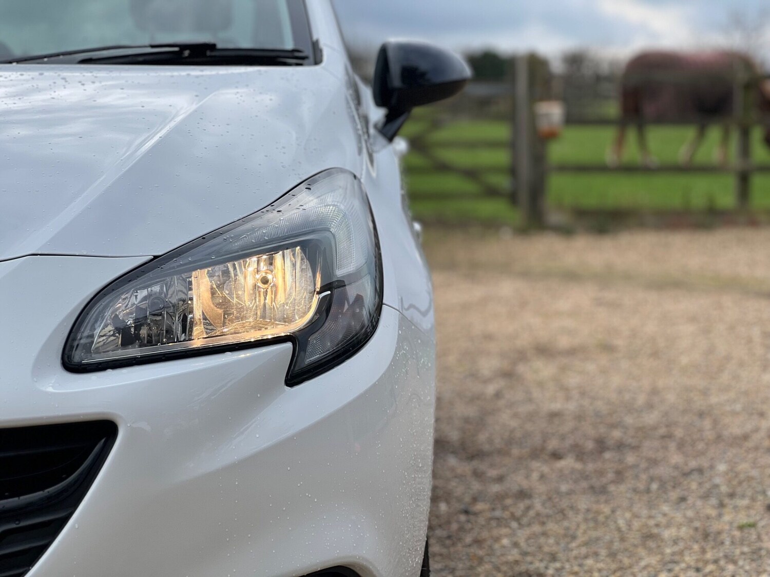 Used Vauxhall Corsa 2015 for sale - 77679817: Photo 16