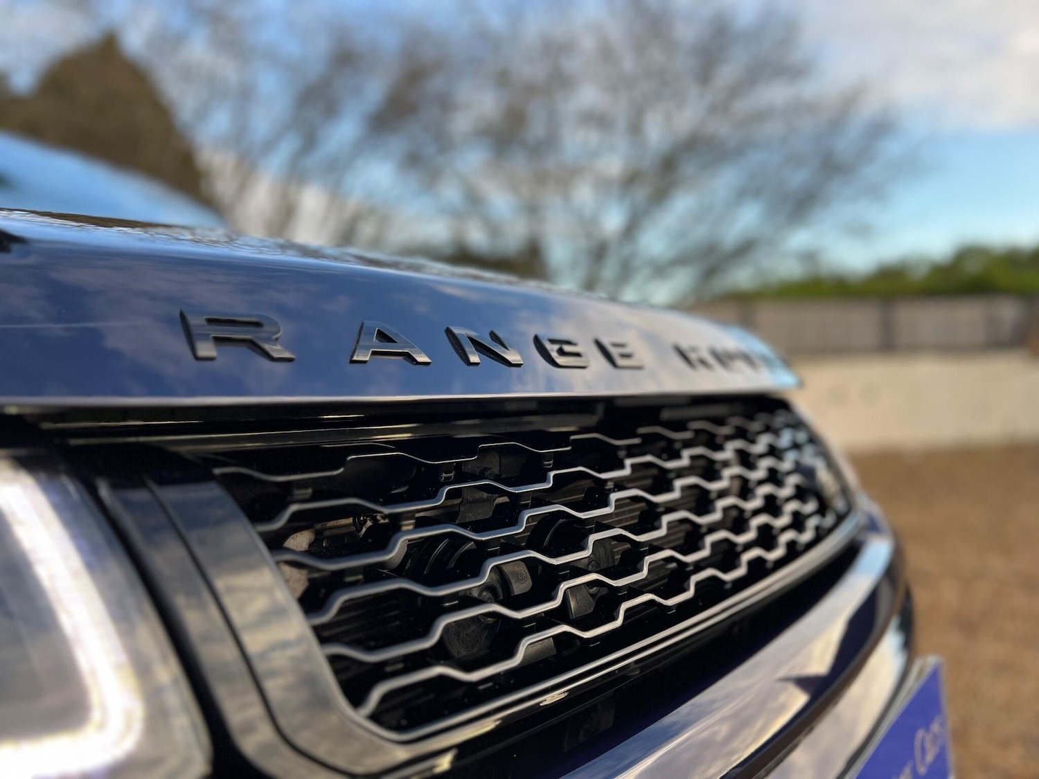 Used Land Rover Range Rover Evoque for sale - 77074772: Photo 13