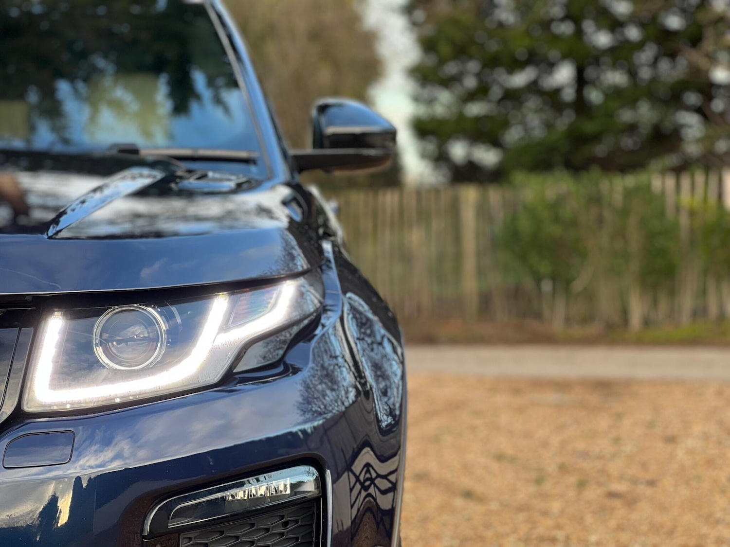 Used Land Rover Range Rover Evoque for sale - 77074772: Photo 15