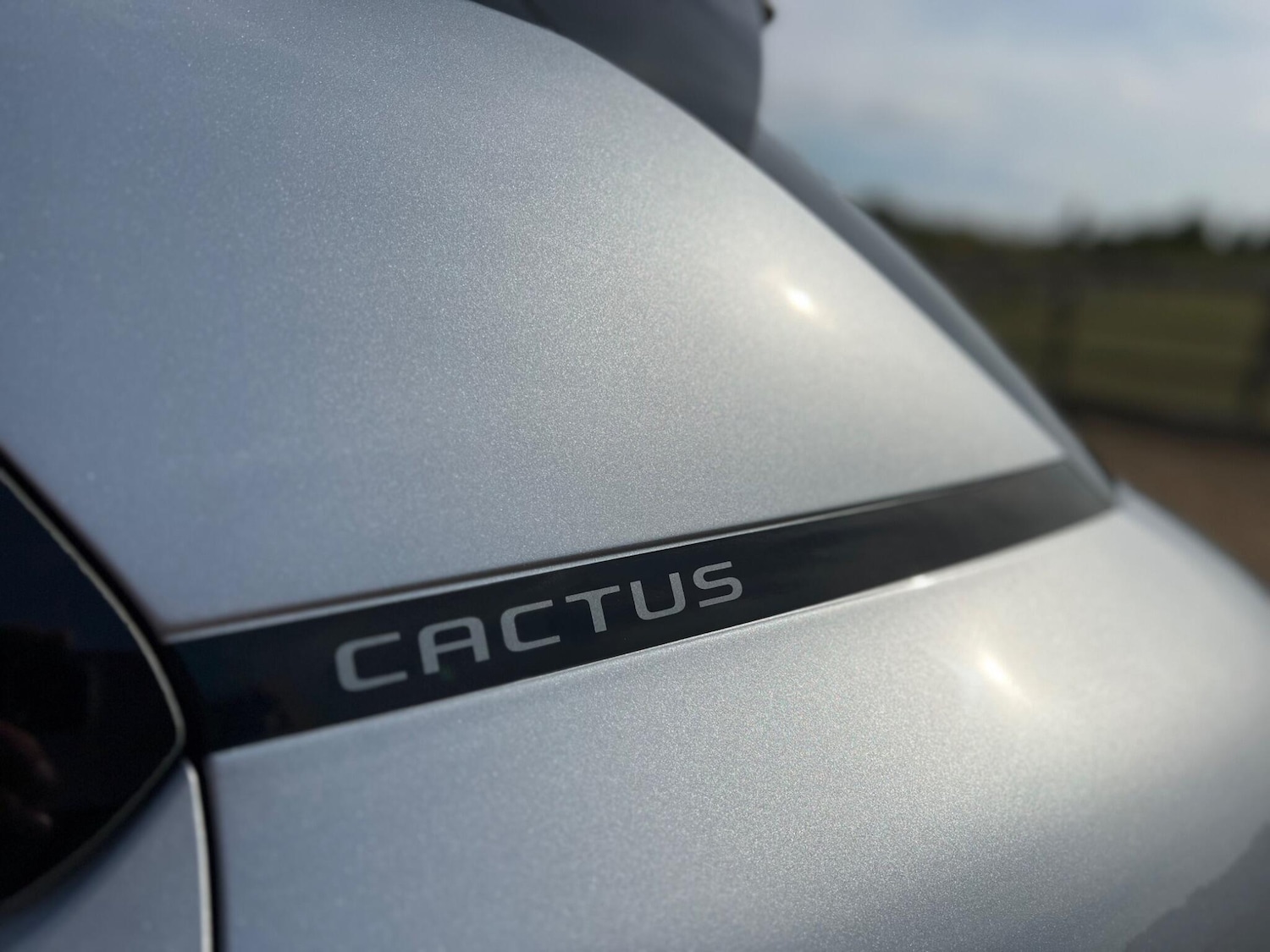 Used Citroen C4 Cactus 2019 for sale - 77067268: Photo 15