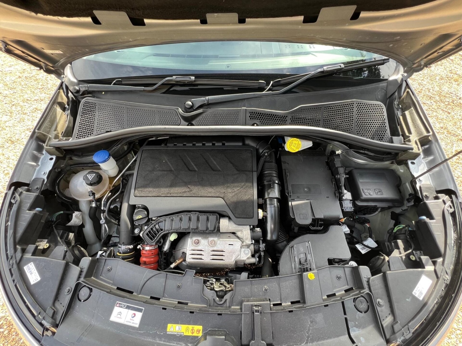 Used Citroen C4 Cactus 2019 for sale - 77515458: Photo 39