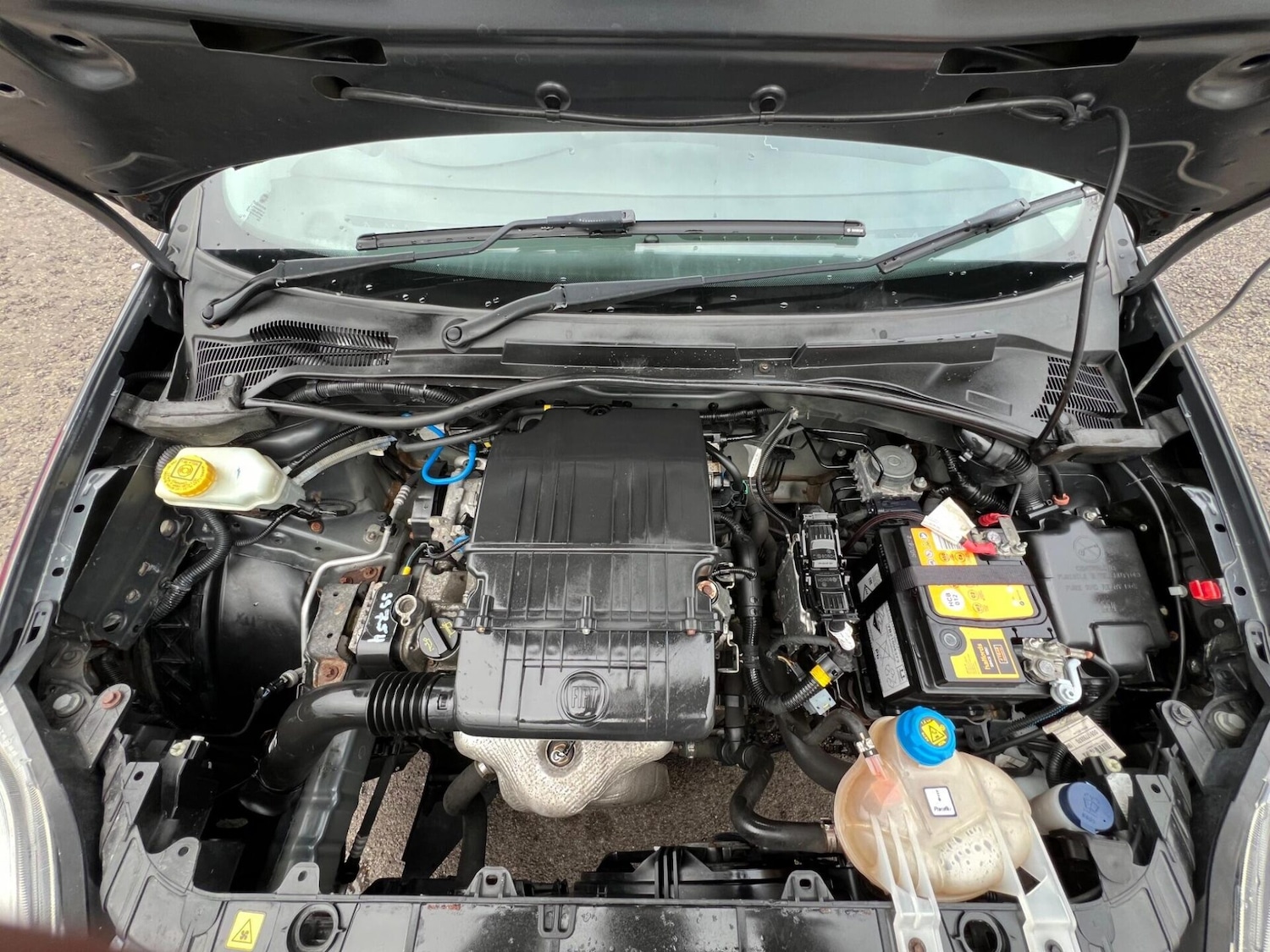 Used Fiat Punto 2014 for sale - 77515452: Photo 32