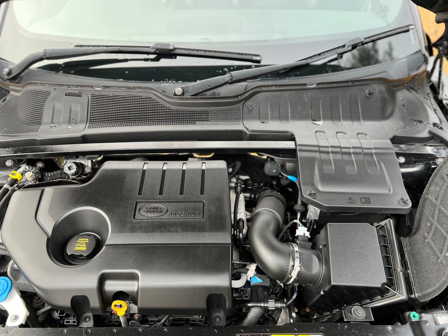 Used Land Rover Range Rover Evoque 2017 for sale - 77515457: Photo 48