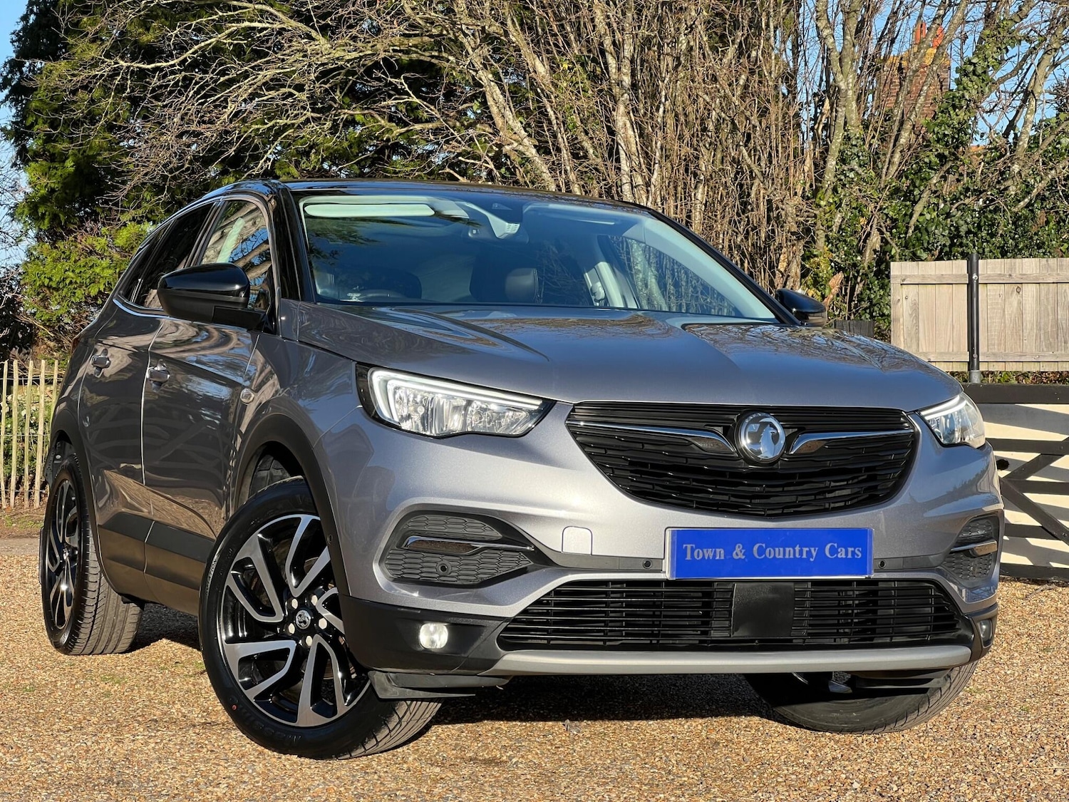 Used Vauxhall Grandland X 2019 for sale - 76691133: Photo 1