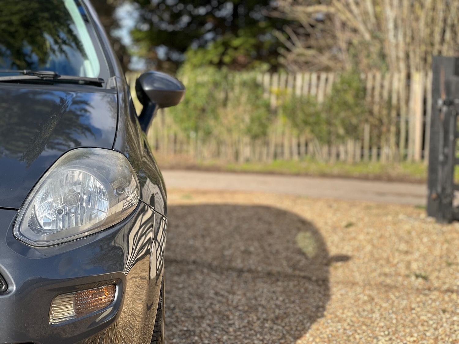 Used Fiat Punto 2014 for sale - 77557349: Photo 13