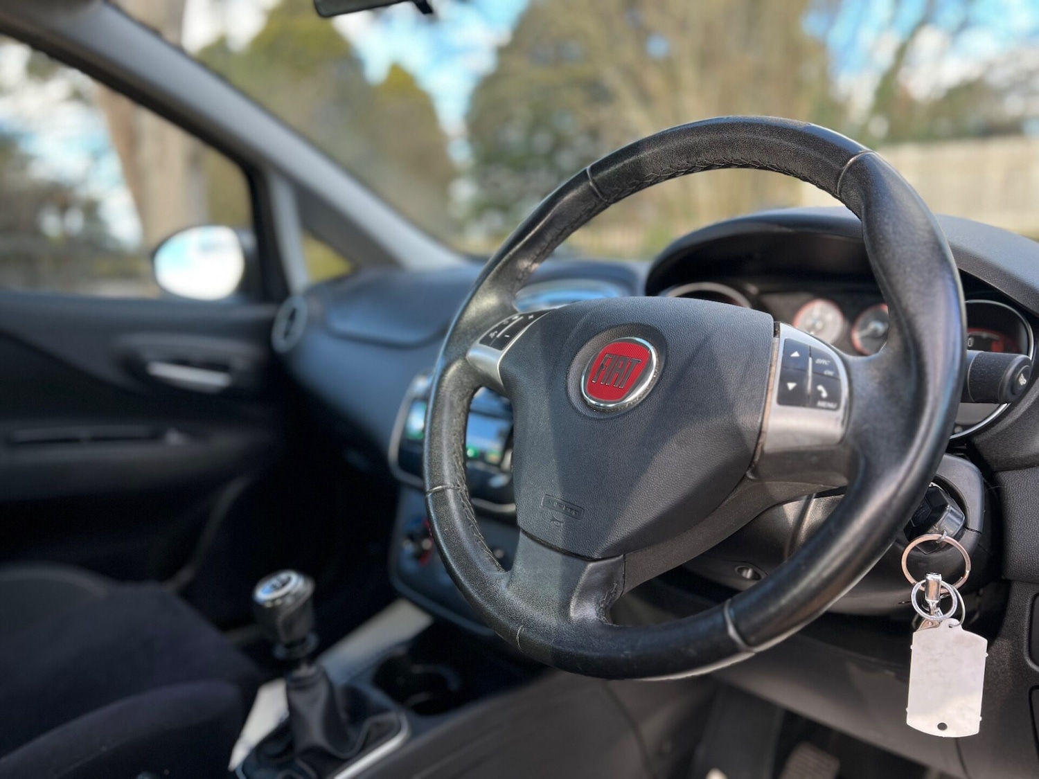 Used Fiat Punto 2014 for sale - 77557349: Photo 15