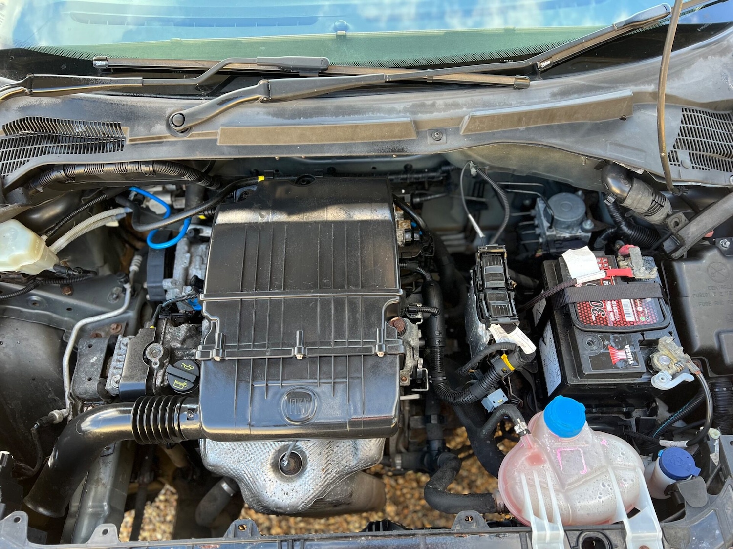 Used Fiat Punto 2014 for sale - 77557349: Photo 30