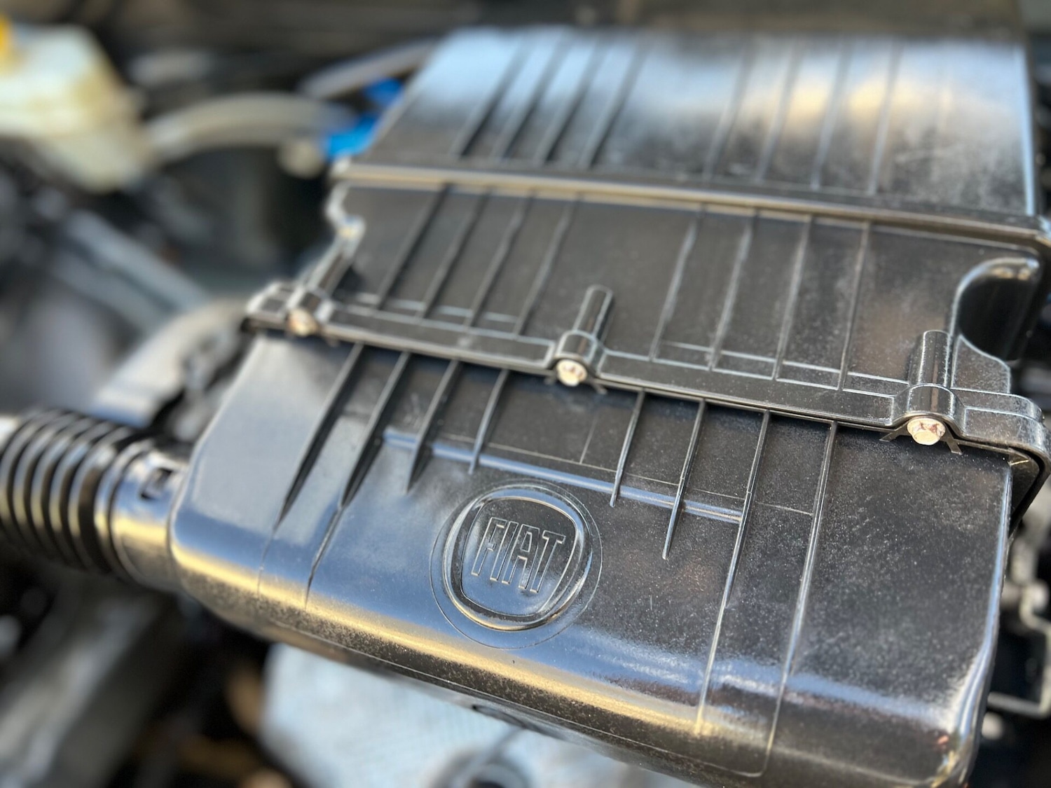 Used Fiat Punto 2014 for sale - 77557349: Photo 31