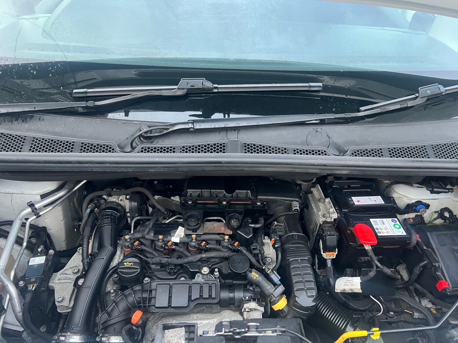 Used Peugeot Partner 2021 for sale - 77529756: Photo 8