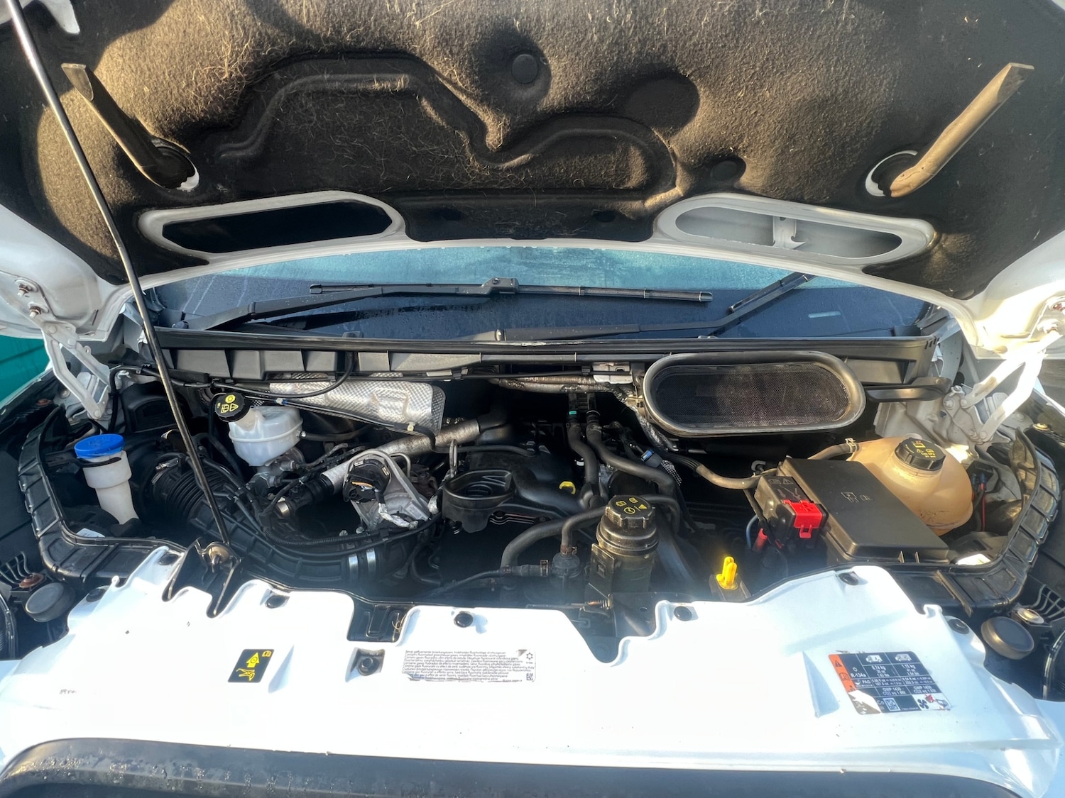 Used Ford Transit 2019 for sale - 78159167: Photo 15