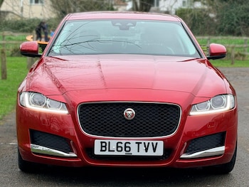 Used Jaguar XF 2016 for sale - 79520912: Photo