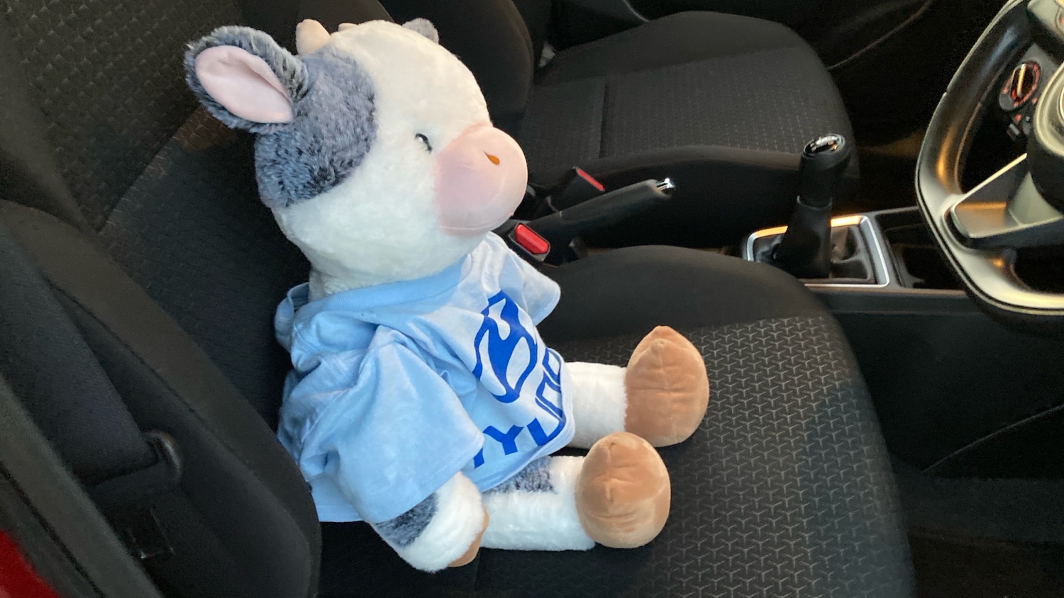 Used Suzuki Swift 2018 for sale - 76649960: Photo 26