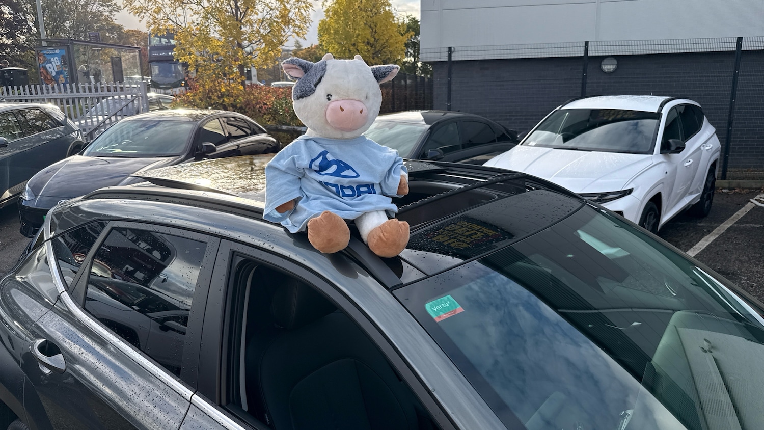 Used Hyundai KONA 2025 for sale - 76762347: Photo 43