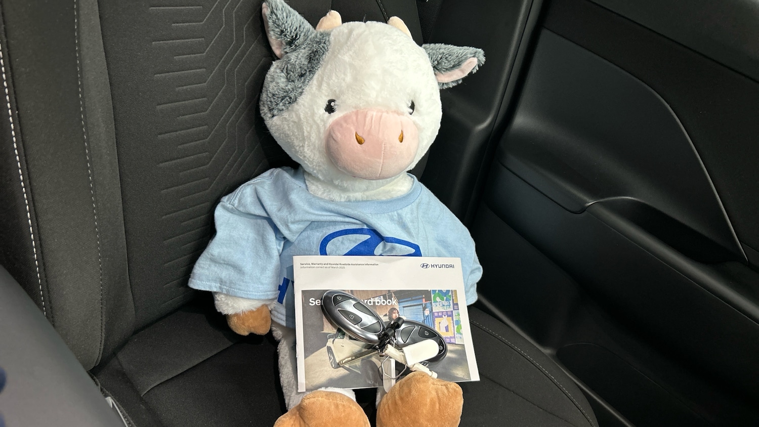 Used Hyundai KONA 2025 for sale - 76504431: Photo 19