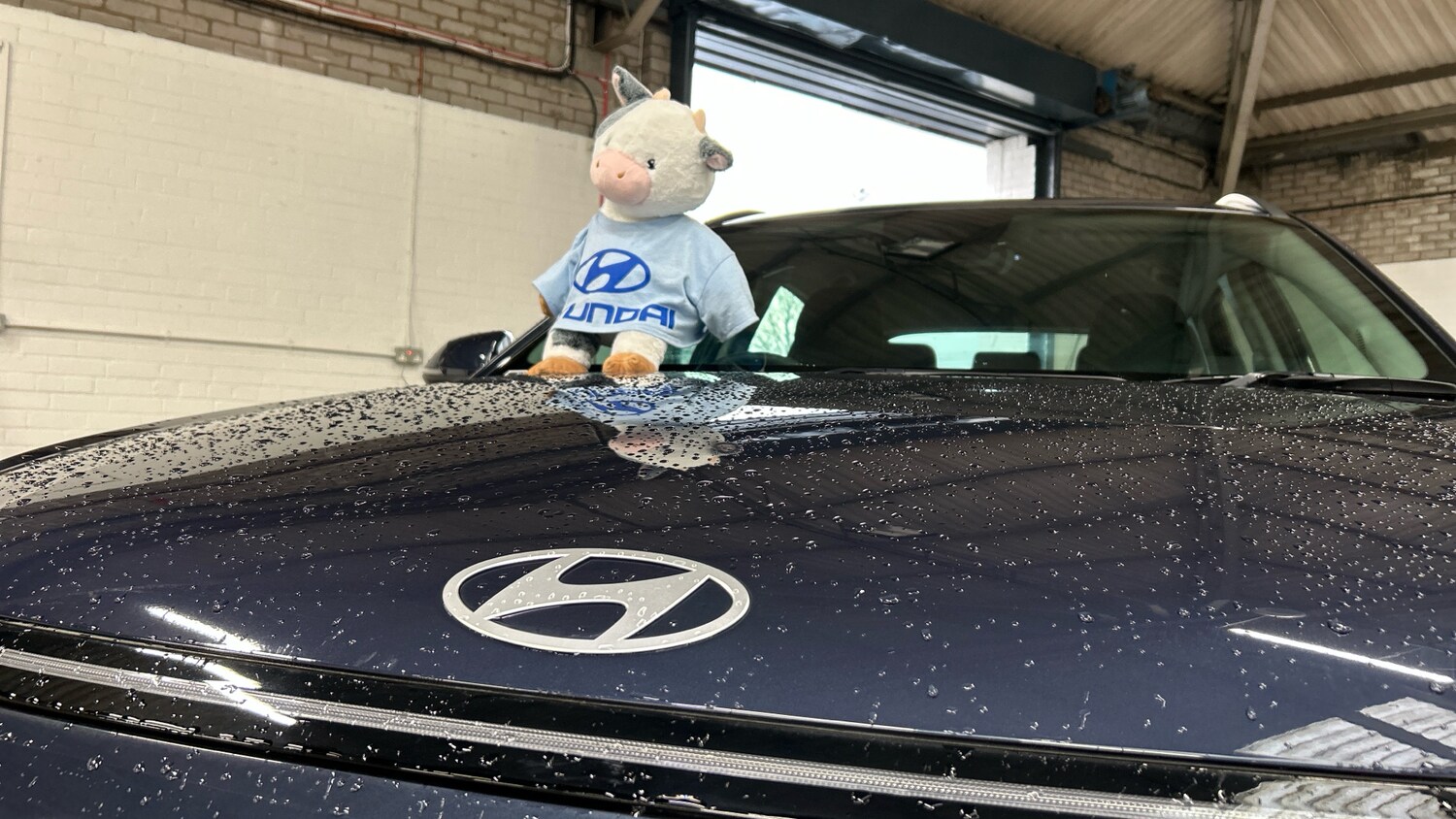 Used Hyundai KONA 2025 for sale - 76504431: Photo 40