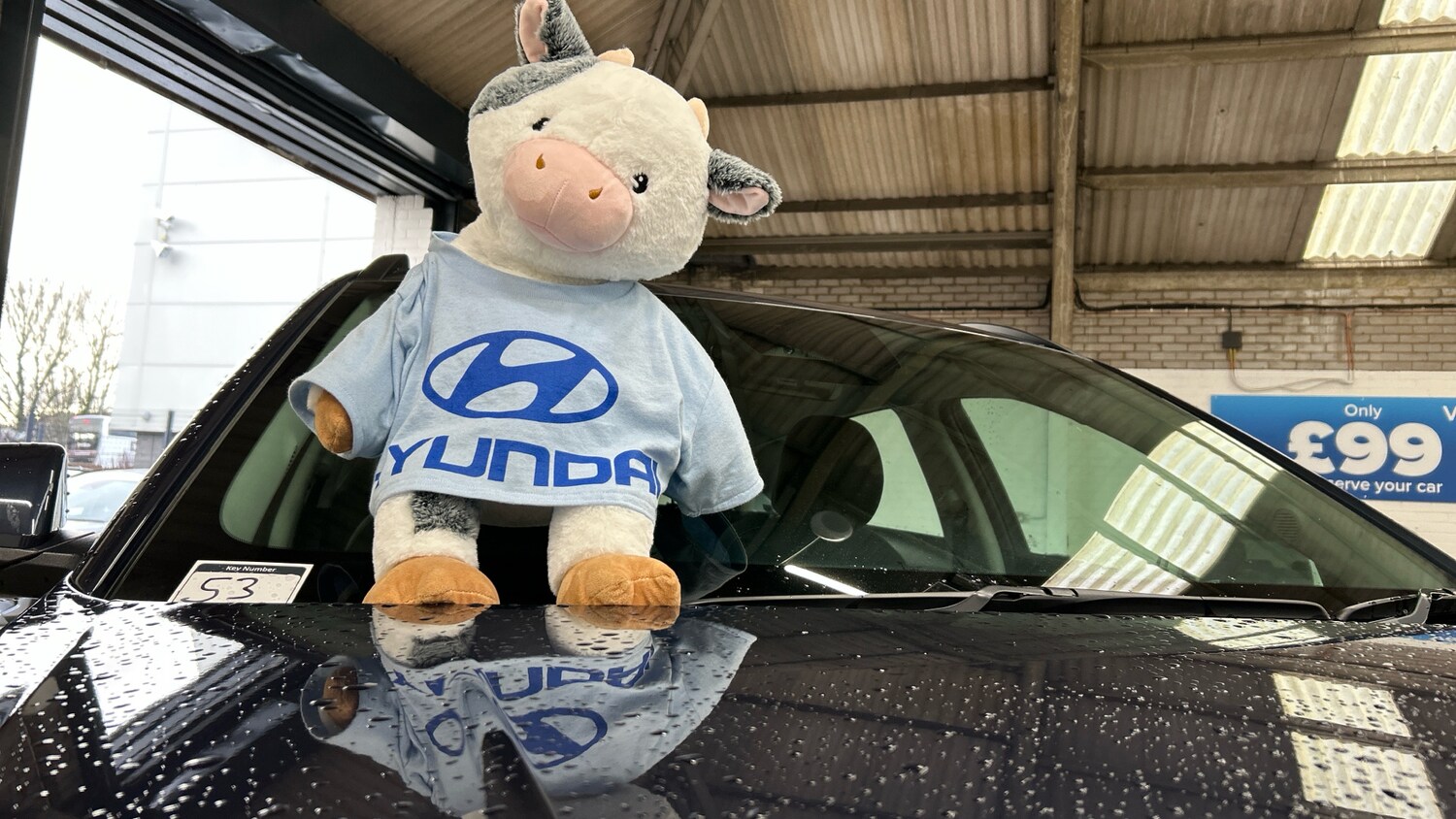 Used Hyundai KONA 2025 for sale - 76504431: Photo 41